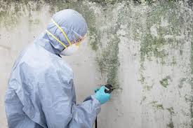 Asbestos and Lead Testing During Mold Inspection